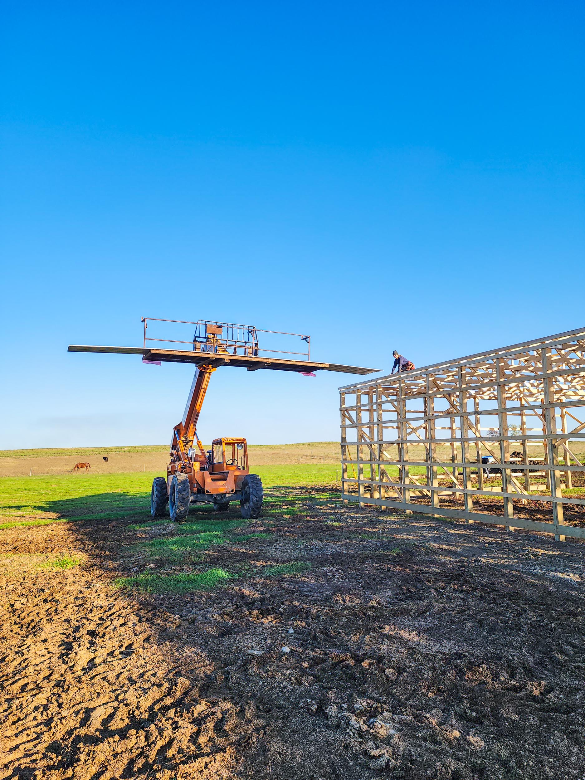 Post-frame construction underway on an agricultural pole shed